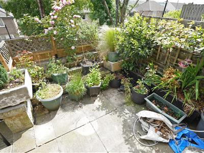 Picture 15
